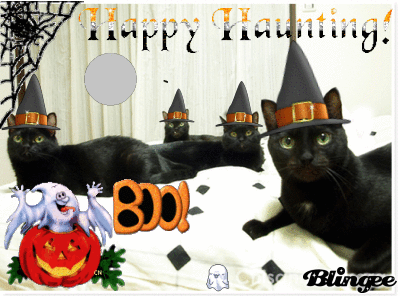 08年10月のブログ記事一覧 ミータワ ルド 08年10月のブログ記事一覧 ミータワ ルド