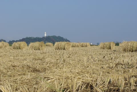 青沼にて