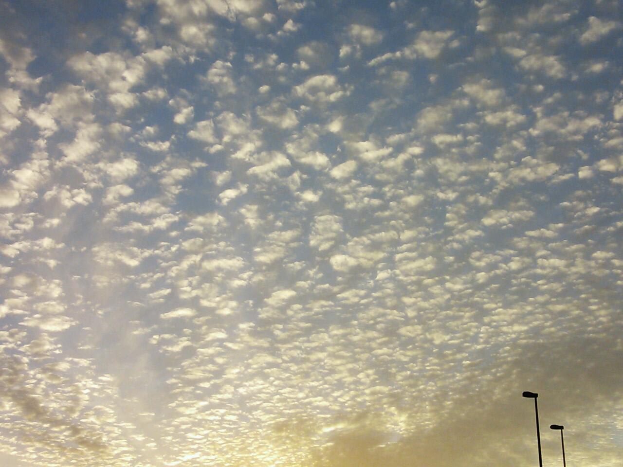 20131119_214918.jpg