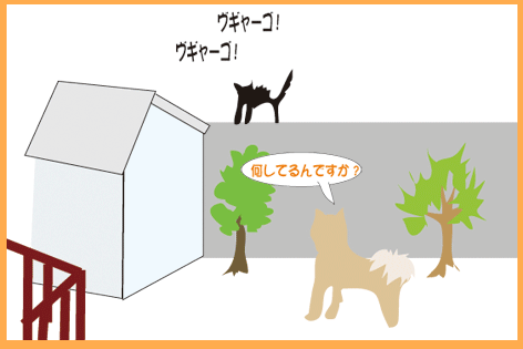 くろねこと 一触即発 ピンチだす 雑種犬 風 ふう のひとりごと くろねこと 一触即発 ピンチだす 雑種犬 風 ふう のひとりごと