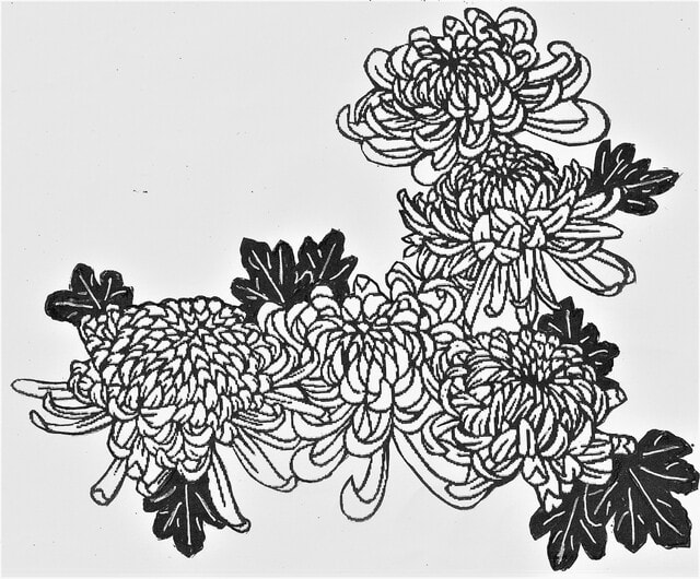 秋の花 菊 切り絵の下絵 モーリの剪画 切絵 を愉しむ