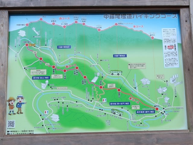 中藤尾根道ハイキングコース 埼玉県飯能市 飼い猫の遠吠え