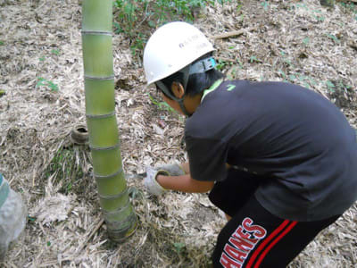 Dscn8790_900 Dscn8790_900