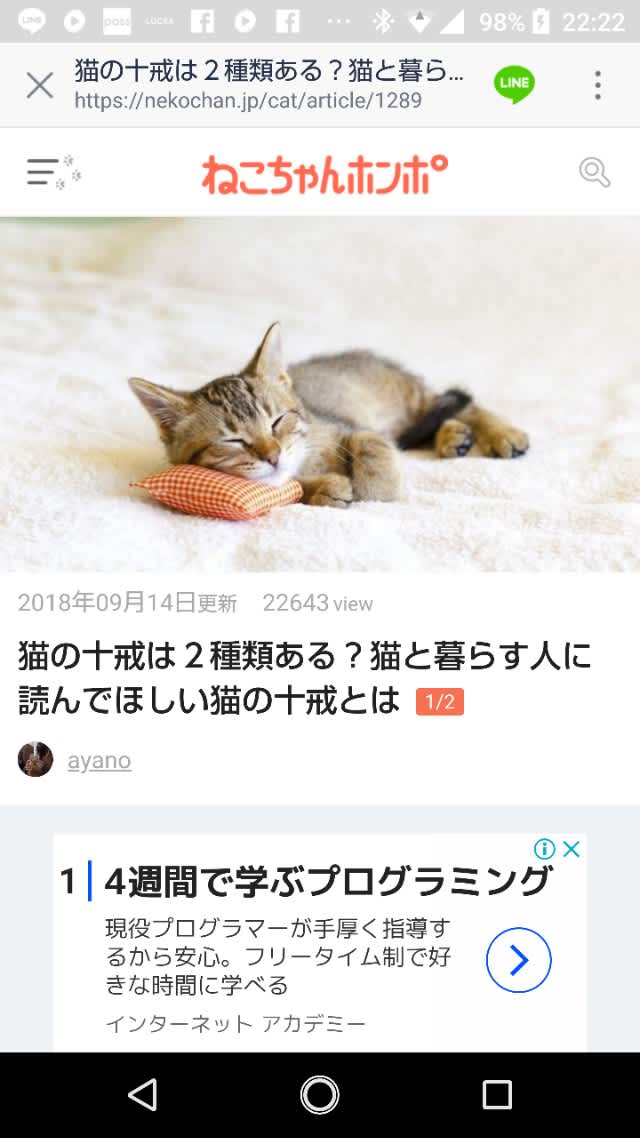 友人より送られてきた猫の十戒 化粧品の成分おたく さえぽんの 友人より送られてきた猫の十戒 化粧品の成分おたく さえぽんの