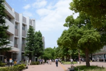 香川大学 夢かよふ