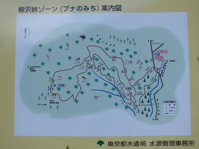 柳沢峠ハイキングマップ