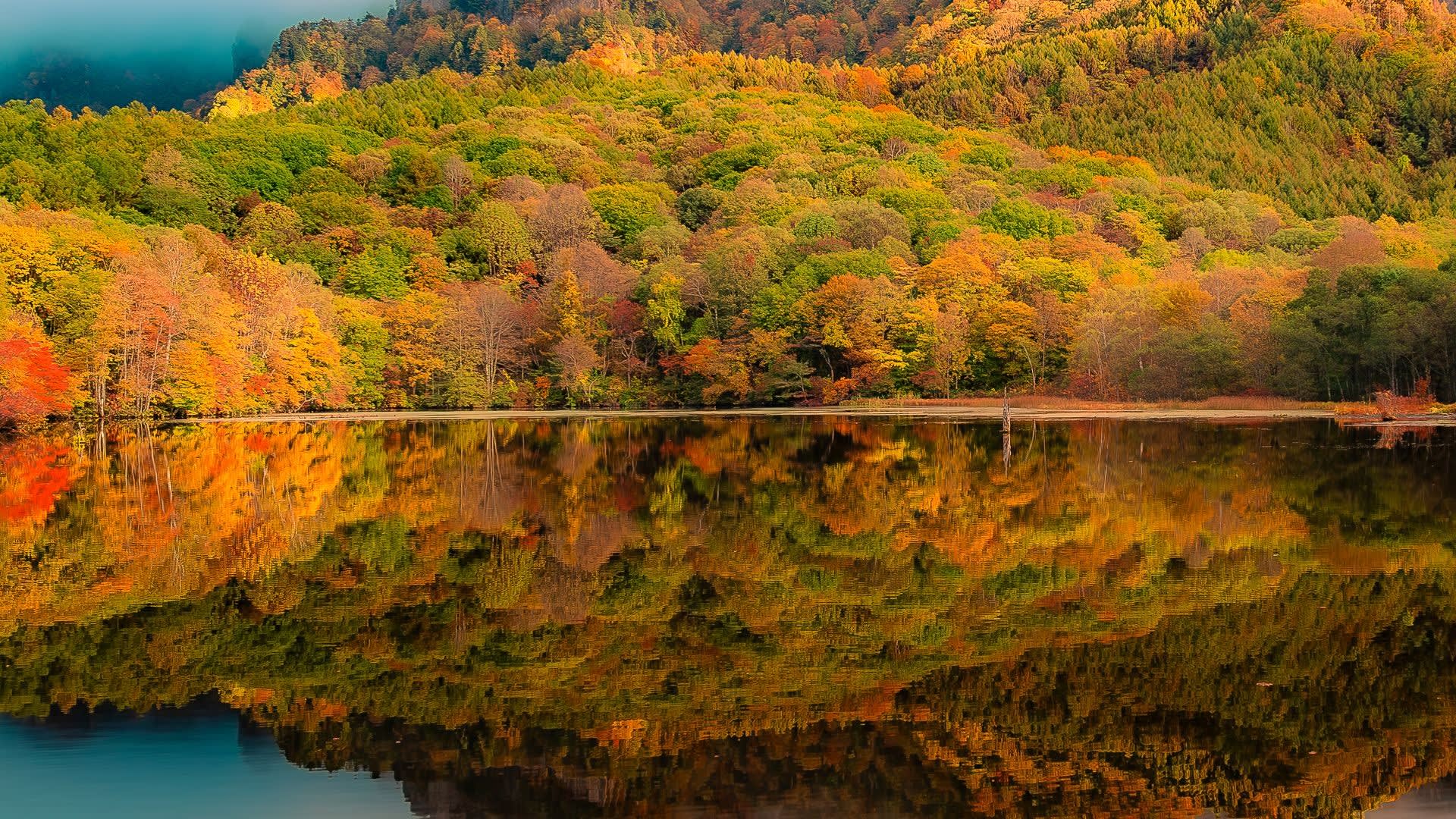 鏡池の紅葉の写真