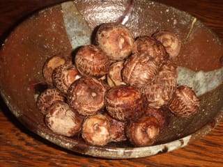 石川芋の衣かつぎ うちのごはんと簡単レシピ