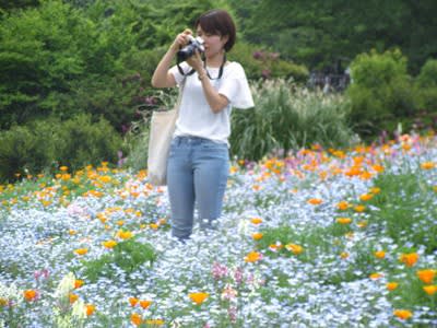 色々な被写体撮影 花の撮影は ストロボは使う 一眼レフ中級編 花と写真に興味 わからない 教えて
