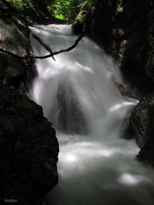 53_tarugasawa_kamimura 53_tarugasawa_kamimura
