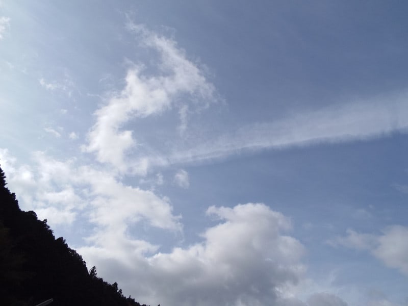 Dscf8965 Dscf8965