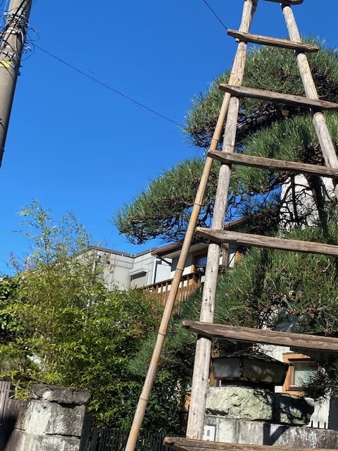 カッコイイ職人さん 元荻窪和庵主オバちゃまの気まぐれ日記 カッコイイ職人さん 元荻窪和庵主オバちゃまの気まぐれ日記