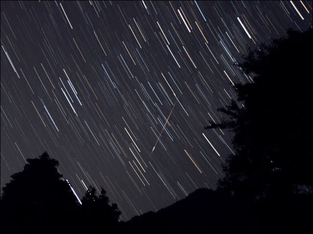 流れ星の夜に - 「テラ・ドーム」日記