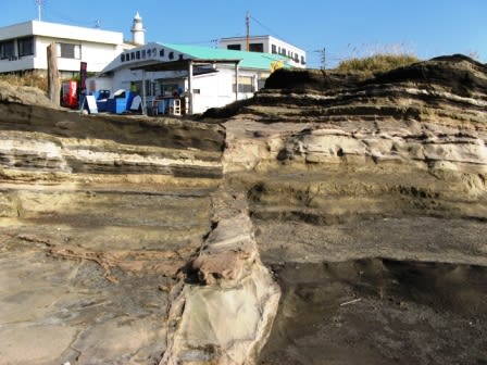 城ヶ島の断層 三浦半島の端っこ 城ヶ島の断層 三浦半島の端っこ