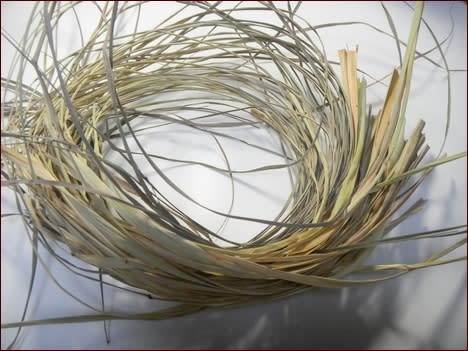 レモングラスで作る亀 座敷わらし犬とうさぎガーデン