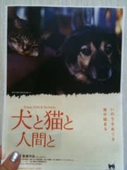 犬と猫と人間と 映画の話でコーヒーブレイク