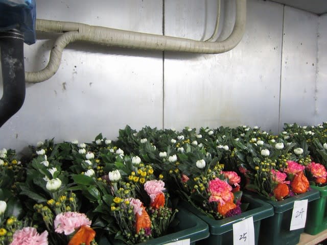お盆のお花準備中 岐阜市の花屋 美濃生花 Tel 058 247 4700 お盆のお花準備中 岐阜市の花屋 美濃生花 Tel 058 247 4700