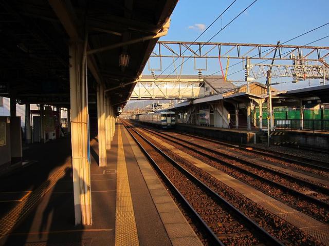 イメージ 7