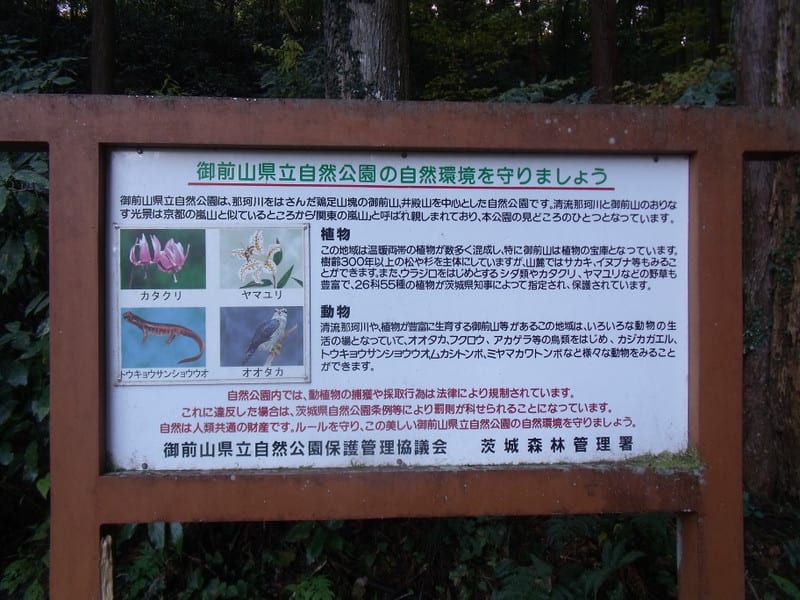 Dscf6756 Dscf6756