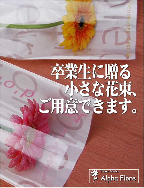 卒業生に贈る小さな花束 ご用意できます 花仕事の日々 卒業生に贈る小さな花束 ご用意できます 花仕事の日々