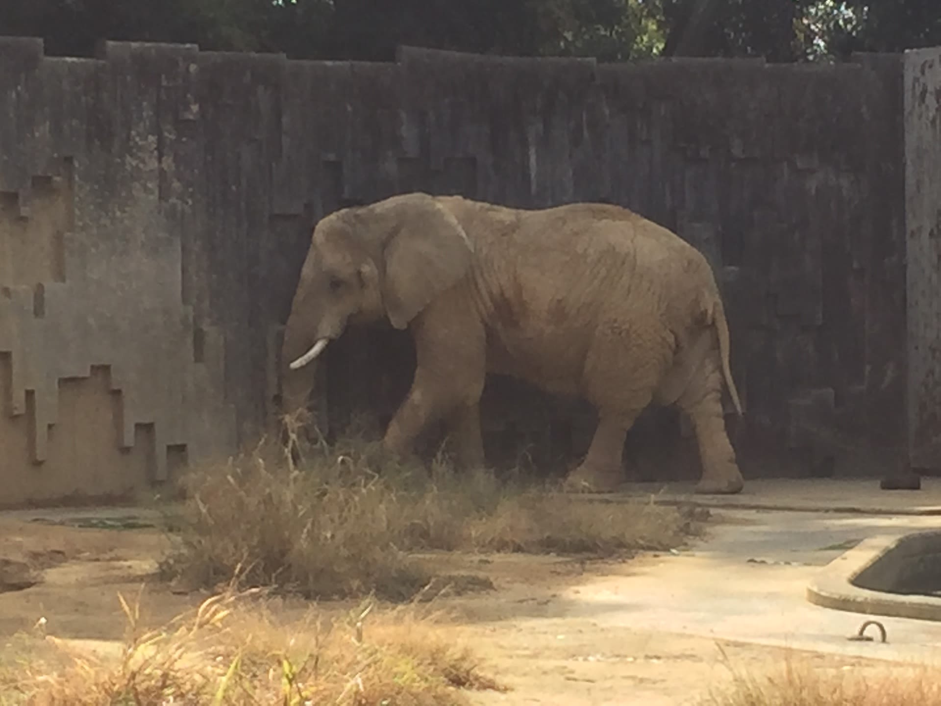 息子と動物園の画像