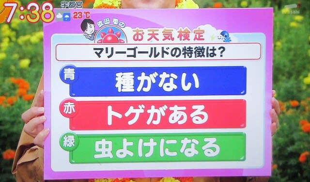 日々の出来事 のブログ記事一覧 独り居の充実ライフを求めて