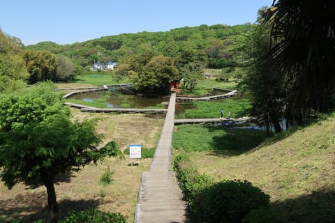 神奈川県県西の水生植物園 地場 旬 自給