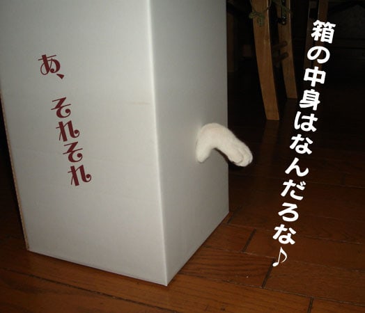 箱の中身はなんだろな 無明長夜もかくばかり 箱の中身はなんだろな 無明長夜もかくばかり