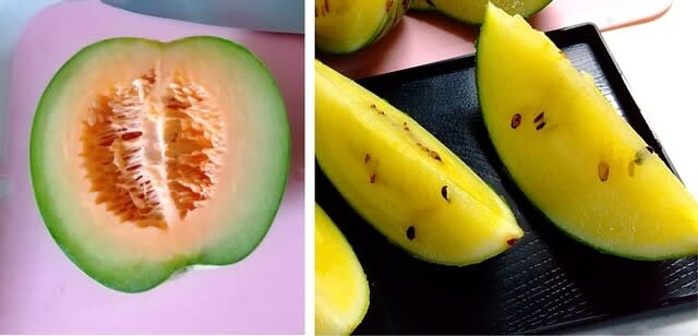 野菜を育てる のブログ記事一覧 お気楽 Oh My Way 野菜を育てる のブログ記事一覧 お気楽 Oh My Way