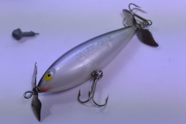 なぜか人気の無いコットンコーデル クレイジーシャッド なぜか人気の無いコットンコーデル クレイジーシャッド