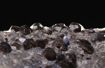 鉄礬柘榴石 Almandine 大張鉱山 Serrote Redondo 写真で楽しむ鉱物 蛍石やざくろ石や黄鉄鉱や水晶や みーんな大好き
