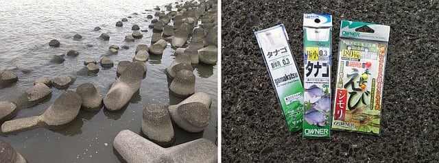 年7月2日 梅雨の釣り 霞ヶ浦のテナガエビ アート科学つり情報