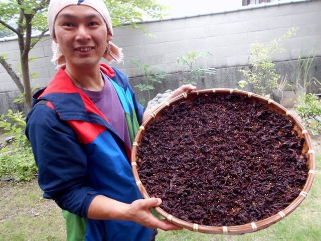 ドラえもんの道具 池さん的日記 ドラえもんの道具 池さん的日記