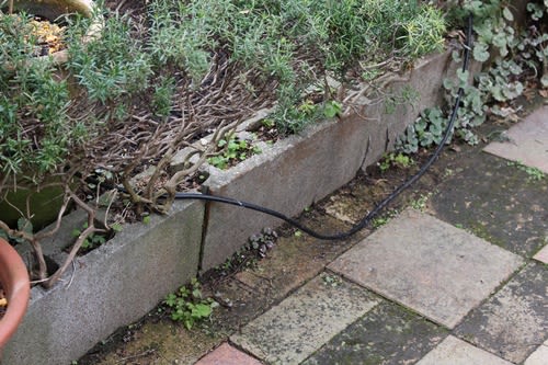 レイズベッド 花壇の土止め の 修理の２ コンクリートブロックもオシャレに 小さな庭の小さな幸せ チャッピーのバラ庭より