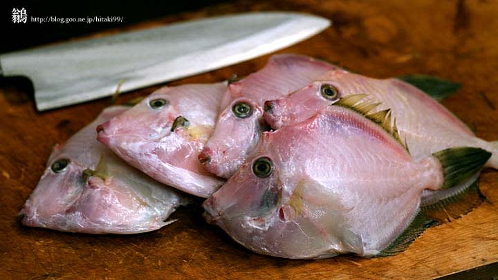 カワハギの煮付け 鏡面界 魚食系女子の気まぐれ雑記帖
