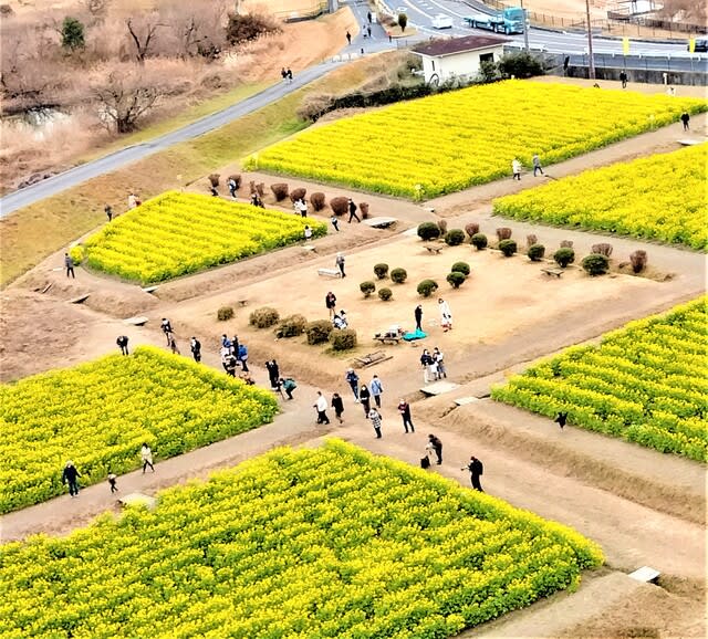 睦月・正月22日（日）北の空は・・