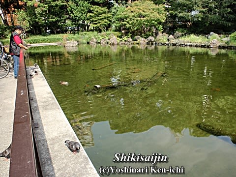 横浜公園　池のほとり