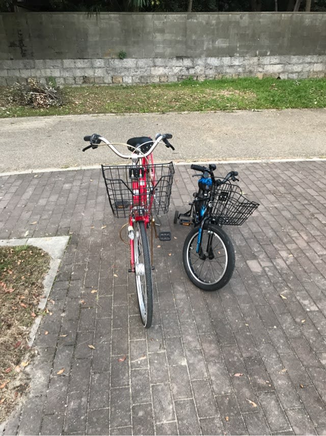 自転車 爆走