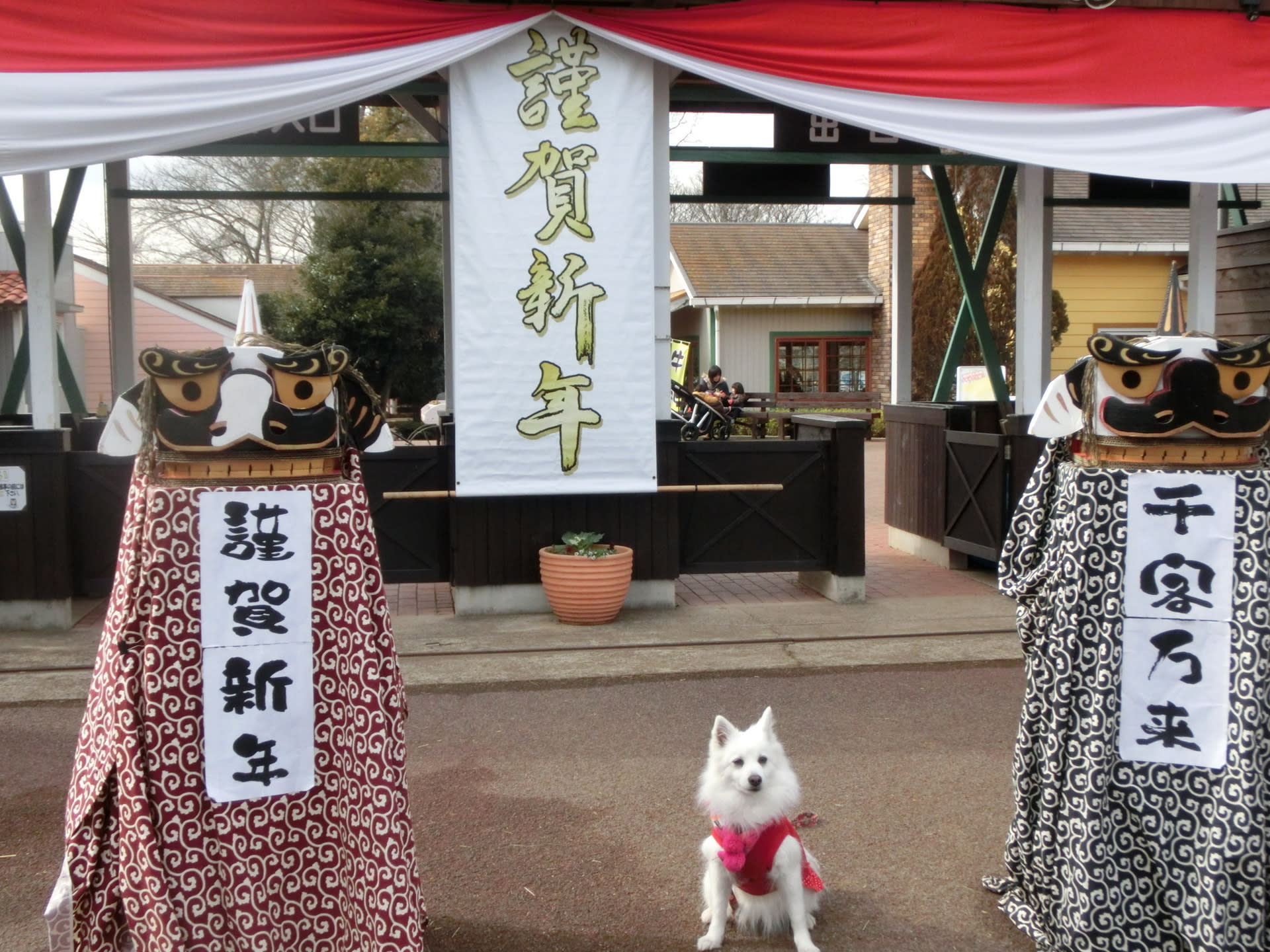 成田ゆめ牧場 乗り物編 ひな まな ひなりん 成田ゆめ牧場 乗り物編 ひな まな ひなりん
