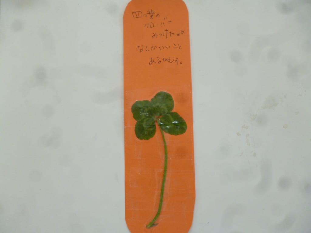 四つ葉のクローバー いっぱいたべるもん 四つ葉のクローバー いっぱいたべるもん