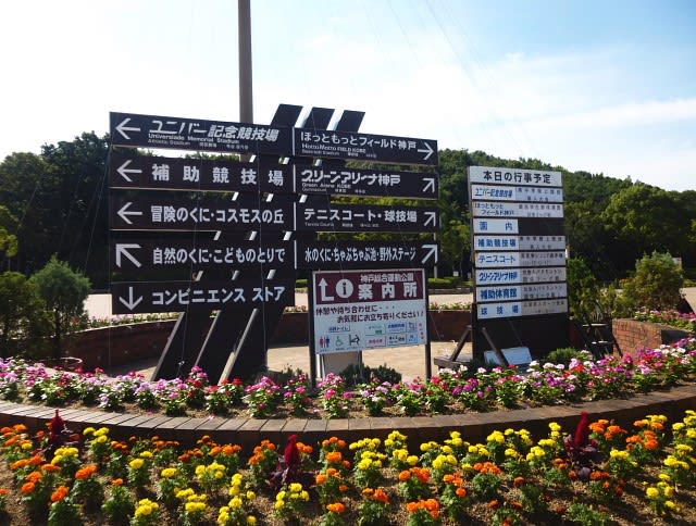 17 神戸総合運動公園のコスモスと明光寺のハギを楽しみます 森に恋して 17 神戸総合運動公園のコスモスと明光寺のハギを楽しみます 森に恋して