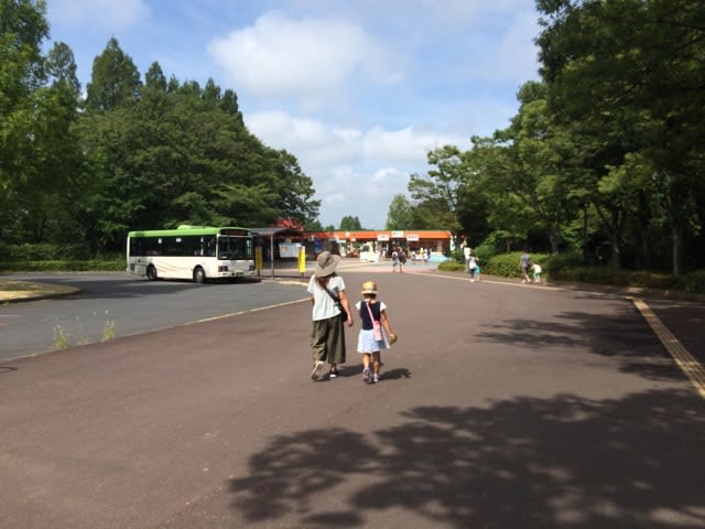 東武動物公園 記憶整理の部屋