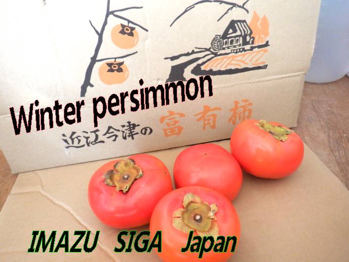 滋賀県今津の富有柿🍊（オレンジ色のトマトのような甘いフルーツ）Winter persimmon - 環境ボランティア・いげのやま美化クラブ