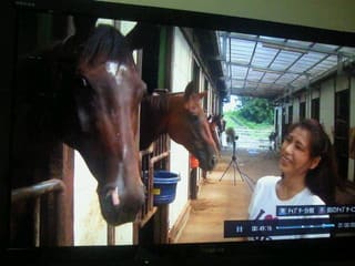 テレビー 乗馬クラブ 体験乗馬日記