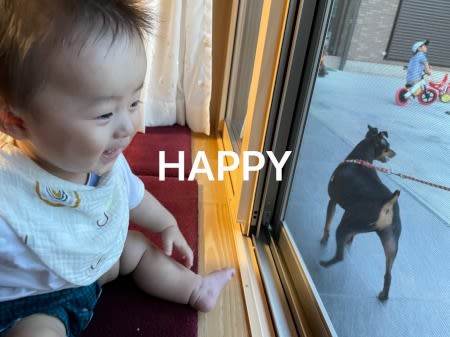 坊やたち ねこ饅頭な日々 坊やたち ねこ饅頭な日々