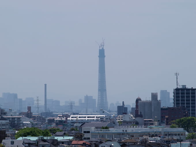 里見公園から見る東京スカイツリー 私目線