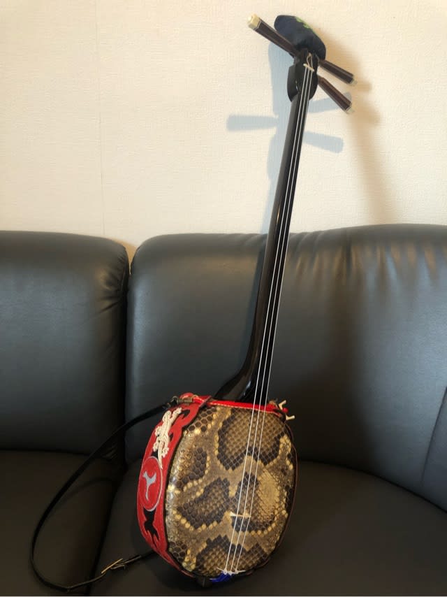 いろいろ New ティーガー 沖縄三線宮里道場 いろいろ New ティーガー 沖縄三線宮里道場