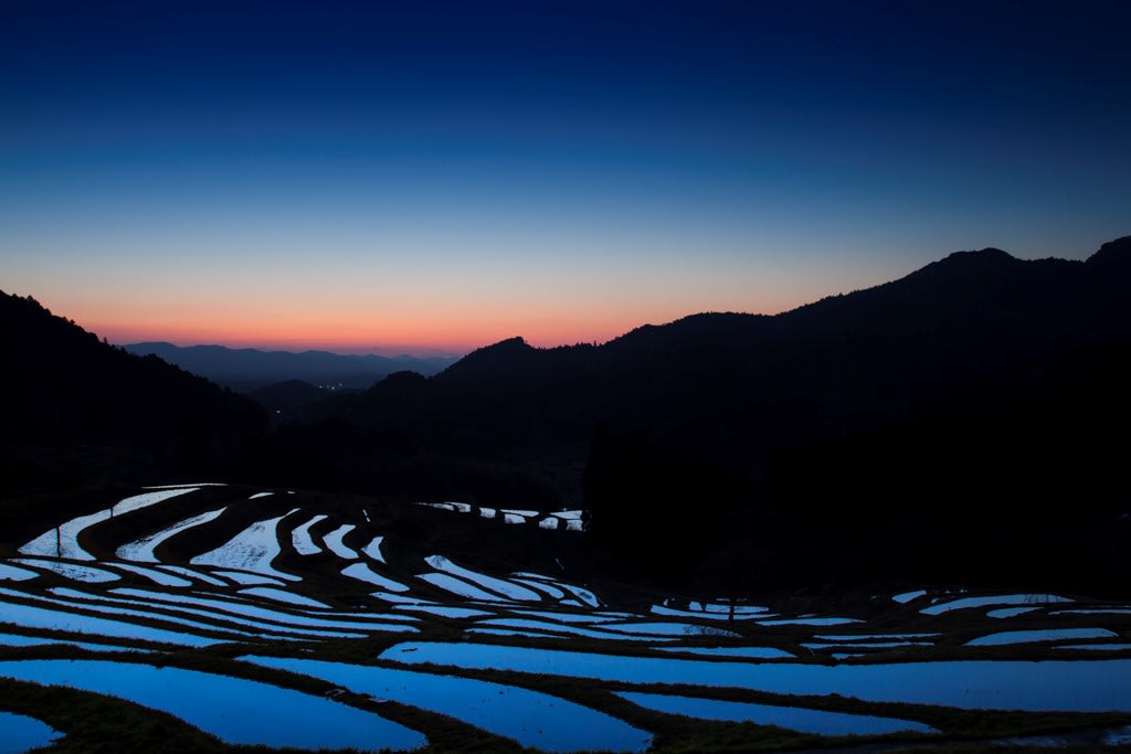 大山千枚田の朝景写真