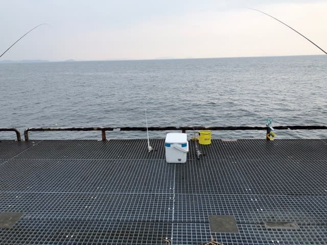 雨の日の豊浜桟橋 キースオジンq日記 雨の日の豊浜桟橋 キースオジンq日記