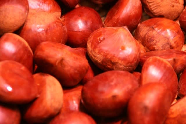 その他 のブログ記事一覧 Ftc通信 その他 のブログ記事一覧 Ftc通信